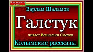 Шаламов Варлам ,  Колымские рассказы ,  Галстук, читает Вениамин Смехов