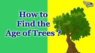 How To Find The Age of a Tree?