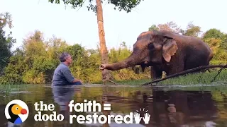 Rescued Elephant Has The Sweetest Reaction To Music | The Dodo Faith = Restored