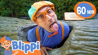 Blippi Learns At The Children's Museum! | Educational Videos for Kids