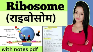 Cell biology (L-11),Ribosome bsc 1st year zoology  knowledge adda lion batch notes pdf zoology