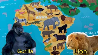 Learn Animal names - Let's Scratch off Animals of Africa and guess the animal name @BlackWhalesFun