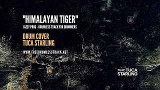 "Hymalaian Tiger" | Drum Cover | Tuca Starling