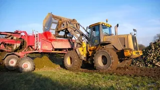 A Monster JCB Arrives To load The SUGAR BEET!