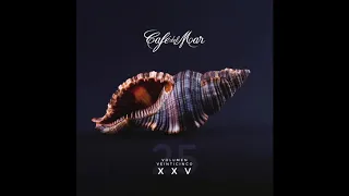 🎵 CAFÉ DEL MAR VOL. 25 (2019) 🌞