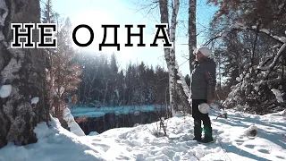 НЕ ОДНА. Фильм про единственную жительницу деревни в Сибири.