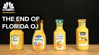 Why Most Orange Juice Comes From Brazil, Not Florida