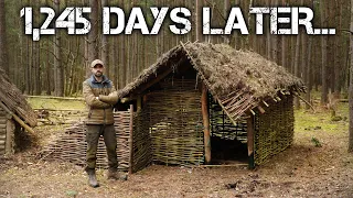 Viking Inspired Bushcraft Shelter 1,245 Days later - What's it like now?