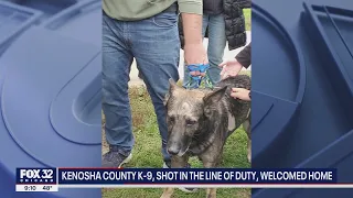 Police K9 who was shot in the head by a murder suspect is home from the veterinary hospital