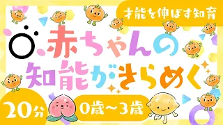 【赤ちゃんが泣きやむ】赤ちゃんの知能がきらめく│赤ちゃん泣き止む│0歳/1歳/2歳/3歳の知育【乳児・幼児向け知育番組】