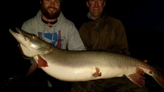 54.5 by 27.5 Mille Lacs Muskie | Supermoon | Fall Muskie Fishing