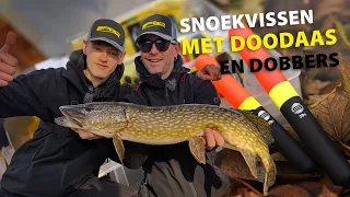 SPRO - Float Fishing With Deadbaits For Pike