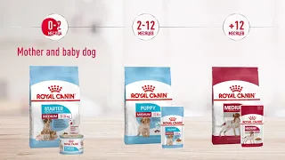 Сухой корм Royal Canin Medium Puppy для щенков средних пород