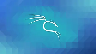 Добро пожаловать в Kali Linux | Этичный хакинг с Kali Linux