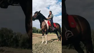 Отличная погода для прогулки на лошади