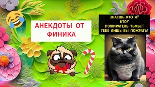 АНЕКДОТЫ ОТ ФИНИКА 😆 5 НАКОСЯЧИЛА😂 ЗНАЕШЬ КТО Я?! 🤔😁