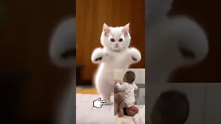 Beautiful cat vs cute baby Viral Funny dance #animals_dance #viral  #funny