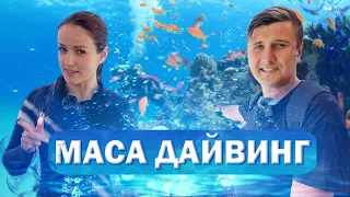 Как приехать В ИЗРАИЛЬ учиться на ДАЙВЕРА! 🤿🐠🪸