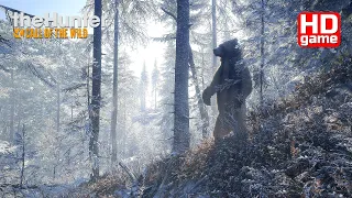 theHunter: Call of the Wild™ HD #41 Медвежья Тайга (без комментариев) 1440p60