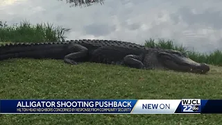 Security guard shoots, kills 13-foot alligator on Hilton Head Island