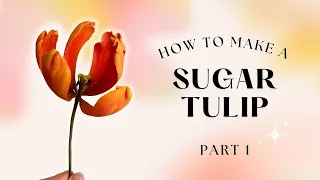 How to Make a Sugar Tulip // Gumpaste Flowers // PART 1 with Finespun Cakes