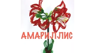 МК: ГИППЕРАСТРУМ / АМАРИЛЛИС из бисера. Часть 1/5. Tutorial: AMARYLLIS out of beads