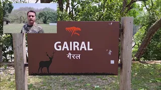 Gairal Guest House - Dhikala Zone - 2022 updates