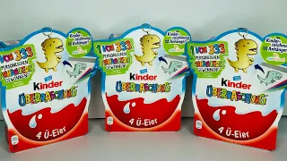 Киндер Сюрприз Новая Сборка 22/23 Kinder Überraschung 4 Pack 1 von 333 Anhänger