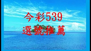 尋跡539 2024 05 16