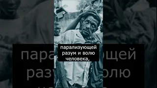 Что такое культ Вуду