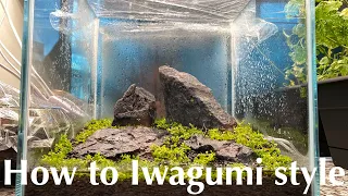 Tutorial:  Takashi Amano Iwagumi Style Aquascape Part 1