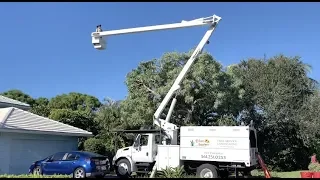 How to work the control on a bucket on a bucket truck for tree trimming