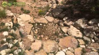 Stormwater Management - Santa Fe Botanical Garden