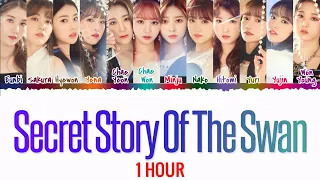 [1 Hour Loop] IZ*ONE (아이즈원) - 환상 동화 (Secret Story of the Swan) Color Coded Lyrics / 가사