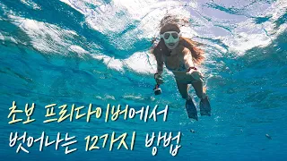 초보 프리다이버, 스노클러를 위한 12가지 팁 모음