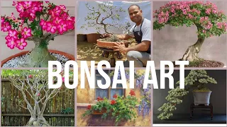 HOW TO CREATE, LOOK AFTER AND USE BONSAI | GARDENING HELP | DURGA NURSERY  DELHI, NOIDA AND GURUGRAM