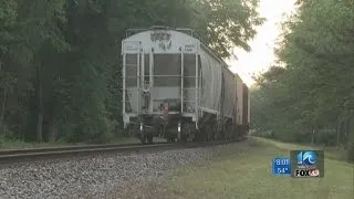 Man killed after being hit by train in Williamsburg