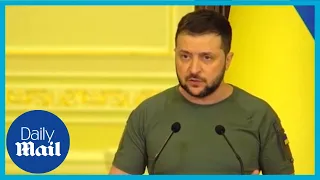 Zelensky asks for UN peacekeepers at Zaporizhzhia nuclear plant