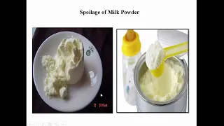 Microflora of Milk