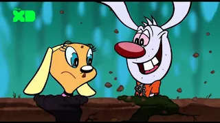 Brenda i pan Whiskers (Brandy and Mr. Whiskers) - intro+outro PL