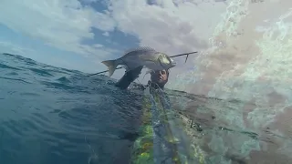 Spearfishing Summer 2020