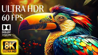 COLLECTION OF BIRDS 8K HDR 60FPS Dolby Vision - With Nature Sounds (Colorfully Dynamic)