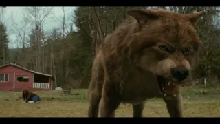 Twilight saga new moon (2009) - In telugu clip (8/13) Jacob's wolf transformation scene