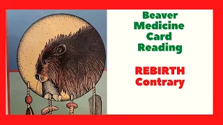 Beaver Medicine Card Reading - Builder Contrary | Native American Spirituality