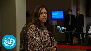 United Arab Emirates on Afghanistan, DPR Korea & Ukraine - Security Council Stakeout