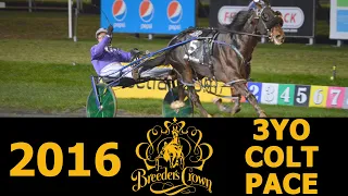 2016 Breeders Crown - Racing Hill - 3CP