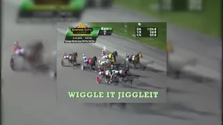 Wiggle It JiggleIt October 15th Yonkers Raceway