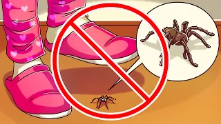 How to Overcome a Fear of Spider Quickly