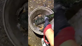 Catching Seafood Video Compilation | Amazing Fishing (Catch Fishes, Crabs, Lobsters..) | Video #162
