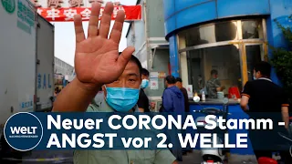 CORONAVIRUS IN CHINA: "Kriegsmechanismus" gegen neuen Corona-Stamm in Peking ausgelöst